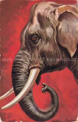 AK / Ansichtskarte Elefant Dresden Serie 236