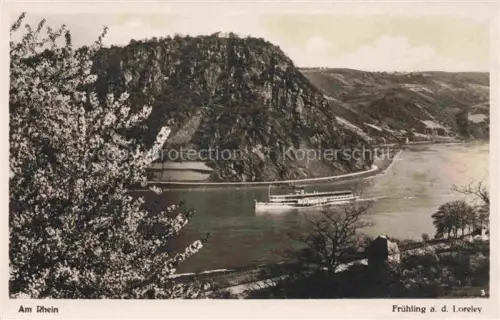 AK / Ansichtskarte Dampfer Seitenrad Am Rhein Fruehling a.d. Loreley 