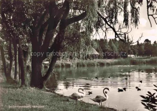 AK / Ansichtskarte Hermsdorf BERLIN REINICKENDORF BERLIN Waldseepartie