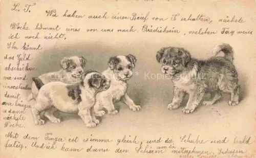 AK / Ansichtskarte HUNDE dogs chiens-- Welpen 