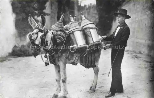 AK / Ansichtskarte Esel Donkey Ane Burro Asno Asino-- Granada Aguador Tipioo