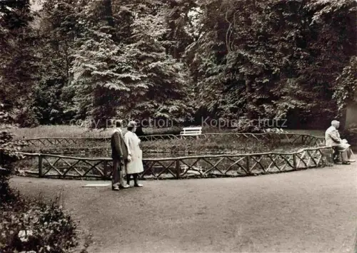 AK / Ansichtskarte Bad Salzhausen Nidda Goldfischteich im Park