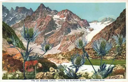 AK / Ansichtskarte Glacier_Blanc_Pelvoux_Montagne_05_Hautes Alpes Pre de Madame Carle Chute du Glacier Blanc Kuenstlerkarte 