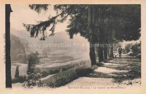 AK / Ansichtskarte Rothau-La Claquette 67 Bas-Rhin Alsace Le Chemin de Wildersbach