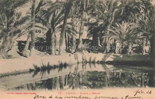 AK / Ansichtskarte Figuig Maroc Bassin à Zenaga