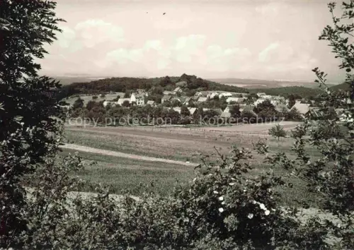 AK / Ansichtskarte Luetzelbach Odenwald Hessen Panorama
