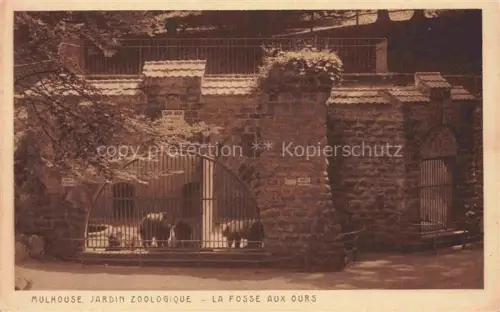 AK / Ansichtskarte MULHOUSE Muehlhausen 68 Haut-Rhin Jardin Zoologique La fosse aux ours