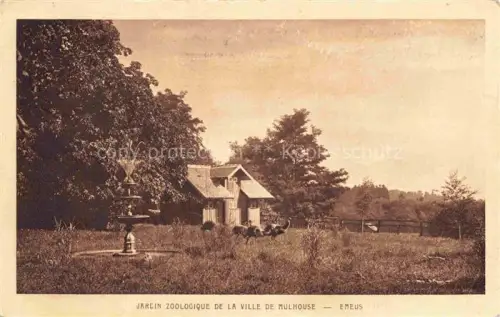 AK / Ansichtskarte MULHOUSE Muehlhausen 68 Haut-Rhin Jardin Zoologique
