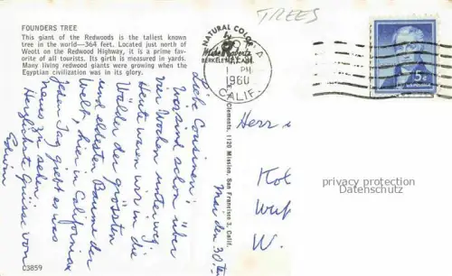 AK / Ansichtskarte Trees Baeume Arbres Arboles Founders Tree