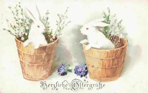AK / Ansichtskarte Ostern Easter Paques Pasqua-- Hasen 