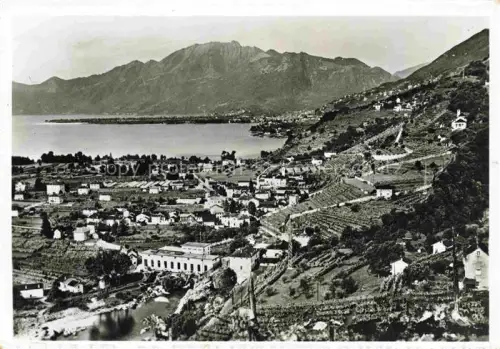 AK / Ansichtskarte Tenero Locarno Lago Maggiore TI Panorama