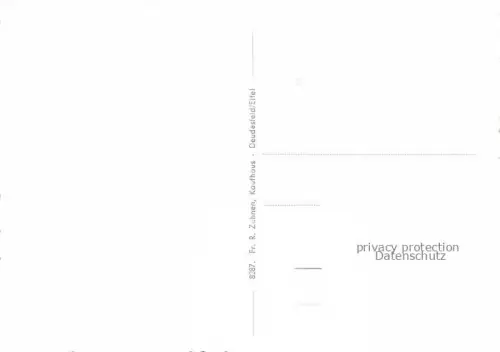 AK / Ansichtskarte Deudesfeld Vulkaneifel Rheinland-Pfalz Teilansicht Waldweg Landschaftspanorama Rehe