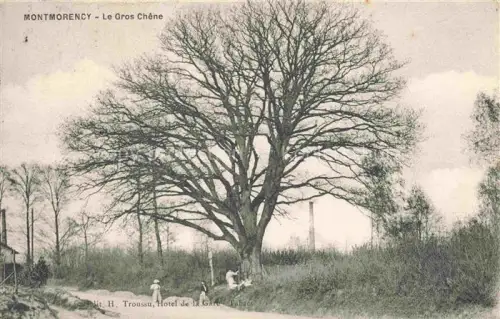 AK / Ansichtskarte Montmorency Sarcelles 95 Val-d Oise Le Gros Chene
