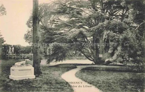 AK / Ansichtskarte Montmorency Sarcelles 95 Val-d Oise Cedre du Liban