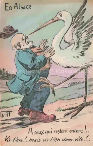 AK / Ansichtskarte Storch Stork Cigogne Ciguena-- En Alsace 