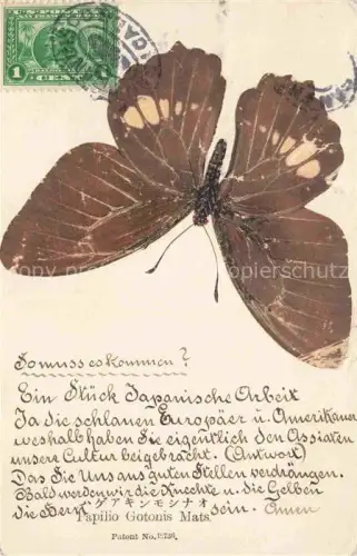 AK / Ansichtskarte Schmetterlinge Papilio Gotonis Mats 