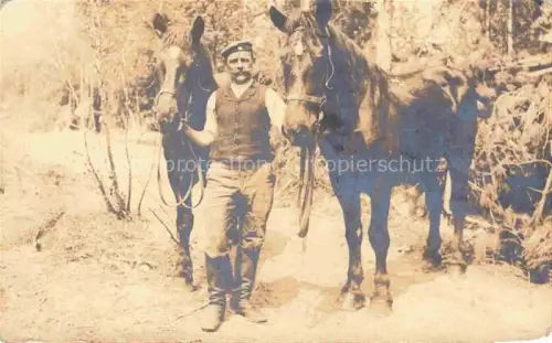 AK / Ansichtskarte PFERDE Horses Cheval 