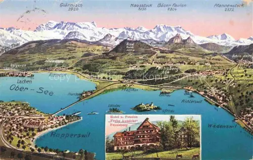 AK / Ansichtskarte Rapperswil -Jona Rapperswyl Zuerichsee SG und Umgebung Alpen Panoramakarte aus der Vogelperspektive Hotel Pension Frohe Aussicht Feusisberg