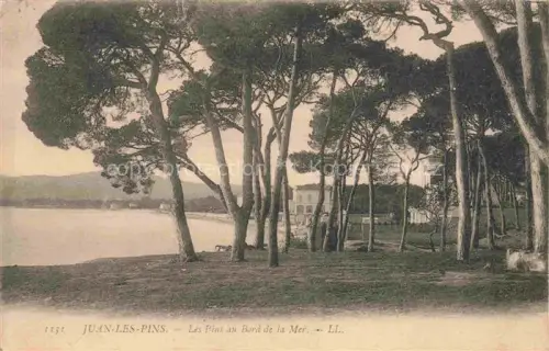 AK / Ansichtskarte JUAN-LES-PINS Antibes 06 Alpes-Maritimes Les Pins au Bord de la Mer