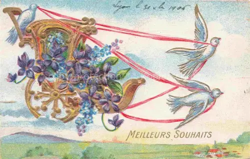 AK / Ansichtskarte Tauben Pigeons Palomas-- Litho Meilleurs Souhaits Blumen Kutsche 