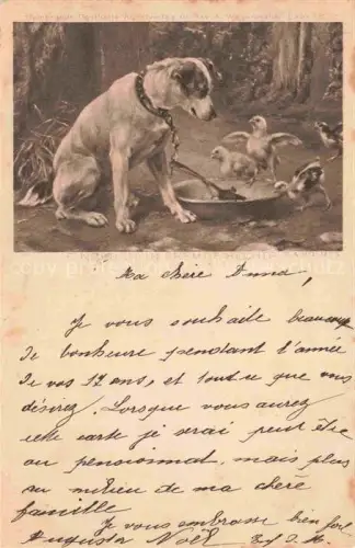 AK / Ansichtskarte HUNDE dogs chiens-- Deutsche Reichspost 