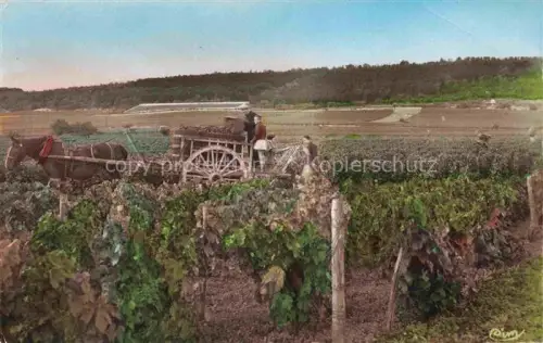 AK / Ansichtskarte Wein Wine Vin Vino-- Landwirtschaft Ernte En Vendange 