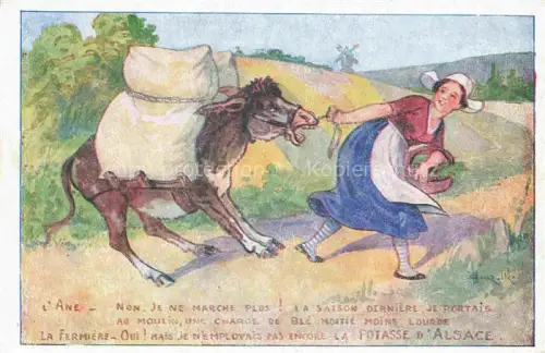 AK / Ansichtskarte Esel Donkey Ane Burro Asno Asino-- Alsace La Fermiere Potase