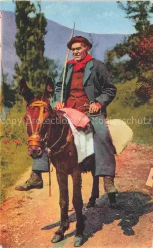 AK / Ansichtskarte Esel Donkey Ane Burro Asno Asino-- Types Pyreneens Montagnard