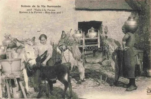 AK / Ansichtskarte Esel Donkey Ane Burro Asno Asino-- Scenes de la Vie Normandi Landwirtschaft