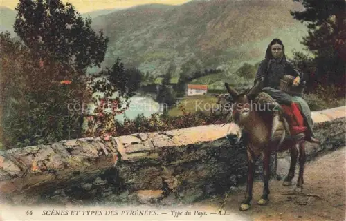 AK / Ansichtskarte Esel Donkey Ane Burro Asno Asino-- Scanes et Types des Pyrenees Type du Pays
