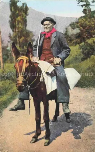 AK / Ansichtskarte Esel Donkey Ane Burro Asno Asino-- Les Pyrenees Vieux Montagnard