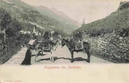 AK / Ansichtskarte Esel Donkey Ane Burro Asno Asino-- Paysannes des Pyrenees