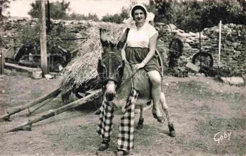 AK / Ansichtskarte Esel Donkey Ane Burro Asno Asino-- Ile de Re Ane a culotte