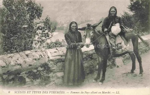 AK / Ansichtskarte Esel Donkey Ane Burro Asno Asino-- Scenes et Types des Pyrenees