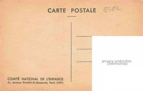 AK / Ansichtskarte Esel Donkey Ane Burro Asno Asino-- Comite National de L Enfance F. Lesourt 