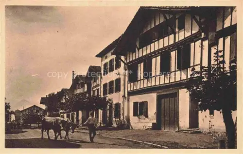AK / Ansichtskarte Ainhoa BAYONNE 64 Pyrenees-Atlantiques La Grande Rue du village