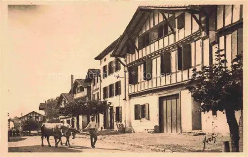 AK / Ansichtskarte Ainhoa BAYONNE 64 Pyrenees-Atlantiques La Grande Rue du village