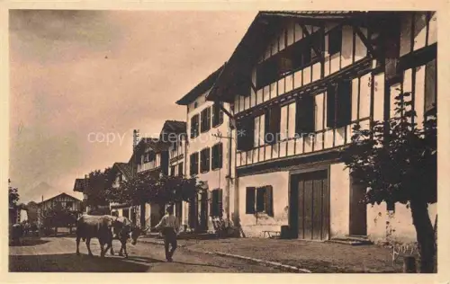 AK / Ansichtskarte Ainhoa BAYONNE 64 Pyrenees-Atlantiques La Grande Rue du village