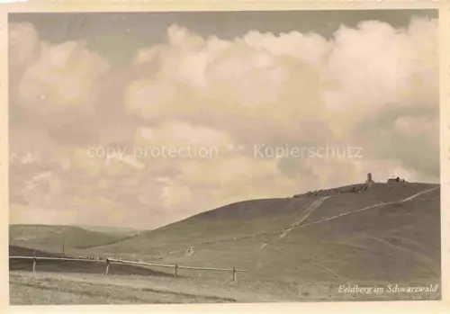AK / Ansichtskarte Foto Gutermann Nr. Feldberg im Schwarzwald