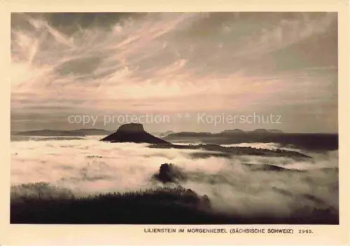 AK / Ansichtskarte Foto Hering Nr. 2965 Lilienstein im Morgennebel saech. Schweiz