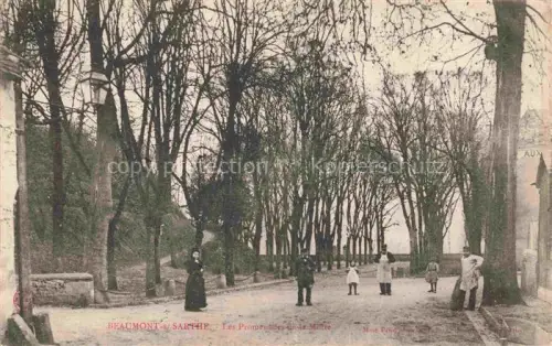 AK / Ansichtskarte Beaumont-sur-Sarthe MAMERS 72 Sarthe Les Promenades de la Motte