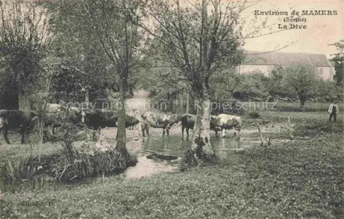 AK / Ansichtskarte MAMERS 72 Sarthe La Dive