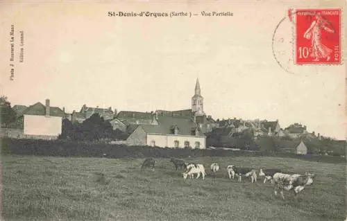 AK / Ansichtskarte St-Denis-d Orques LA FLECHE 72 Sarthe Vue partielle