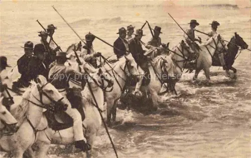 AK / Ansichtskarte Saintes-Maries-de-la-Mer 13 Bouches-du-Rhone Les gardians arrivent dans la Mer