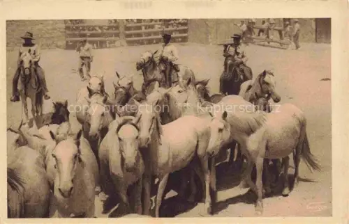 AK / Ansichtskarte Saintes-Maries-de-la-Mer 13 Bouches-du-Rhone Manade de Chevaux Camargue