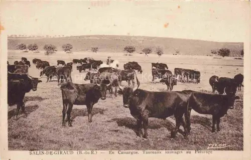 AK / Ansichtskarte Salin-de-Giraud ARLES 13 Bouches-du-Rhone En Camargue Taureaux auvages au Paturage