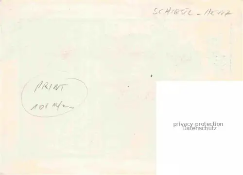 AK / Ansichtskarte SCHIESTL Heinz Kuenstlerkarte Profit Neujahr Musikanten Litho 