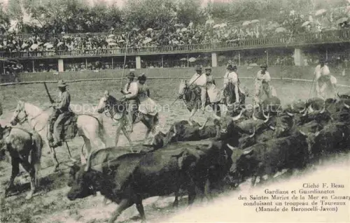 AK / Ansichtskarte Saintes-Maries-de-la-Mer 13 Bouches-du-Rhone Gardians et Guardianetos en Camary conduisant un troupeau de Taureaux