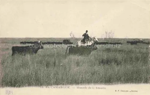 AK / Ansichtskarte Camargue Region 13 Manade de L'Amaree