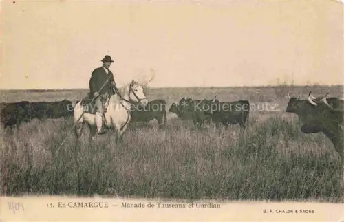 AK / Ansichtskarte Camargue Region 13 Manade de Taureaux et Gardian